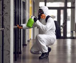 Best Environmental Consulting for Mold Prevention in Rush City, MN